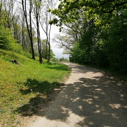 Buchenwald