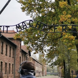 Auschwitz
