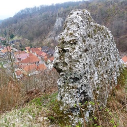 Burgruine Questenberg