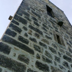 Steinholzwarte